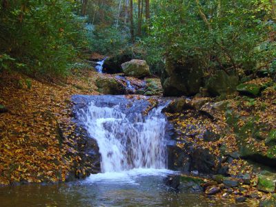 Lower Devil's Fork Falls
These falls are near Rocky Fork (not to be confused with the 'Devil's Fork Falls' in the Sampson Wilderness)
October, 2010
