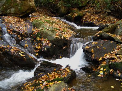Devil's Fork Cascades
These cascades are near Rocky Fork (not to be confused with the 'Devil's Fork Falls' in the Sampson Wilderness)
October, 2010
