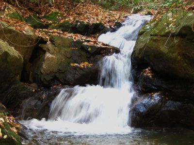 (Lower-Middle) Devil's Fork Falls
These falls are near Rocky Fork (not to be confused with the 'Devil's Fork Falls' in the Sampson Wilderness)
October, 2010
