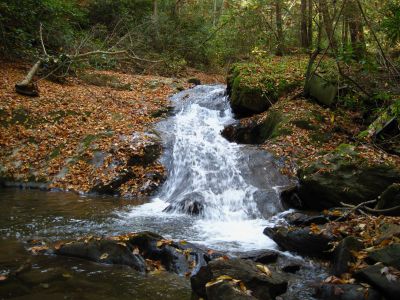 (Upper-Middle) Devil's Fork Falls
These falls are near Rocky Fork (not to be confused with the 'Devil's Fork Falls' in the Sampson Wilderness)
October, 2010
