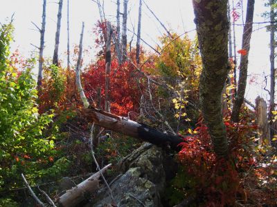 The Whitehouse Mountain Trail
Hiking up the rock spine to the top...

Rocky Fork, October, 2010
