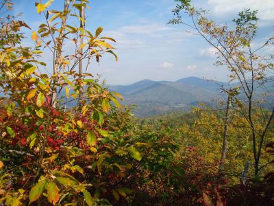 View from the Whitehouse Mountain Trail
No Business Knob, Flattop Mountain just behind...
Rocky Fork, October, 2010
