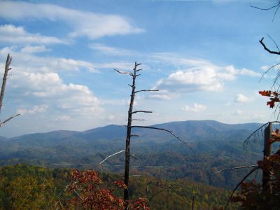 View From Whitehouse Mountain
The Bald Mountains in the distance
(the Appalachian Trail follows the ridge-crest)
Rocky Fork, October, 2010
