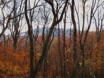 Blue Ridges
The Unaka Ridgeline in Autumn,
Unaka Mountain,
October, 2010
