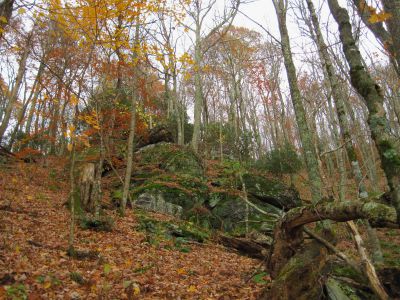 Boulder-spine
Unaka Mountain,
October, 2010
