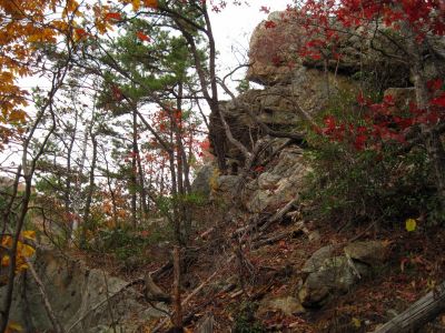 Sill Branch Overlook
Profile of the 'Sphinx Rock' from below...
another view.
10-31-2013
