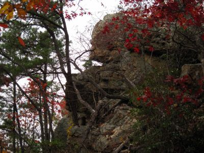 Sill Branch Overlook
Profile of the 'Sphinx Rock' from below...
10-31-2013
