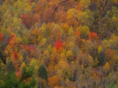 View From Cliff's Edge
Sill Branch Overlook,
10-31-2013
