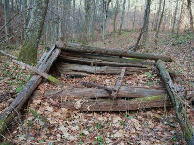 Sugarloaf Branch
Remnants of an old homestead along the Sugarloaf Branch Trail, 
November, 2010
