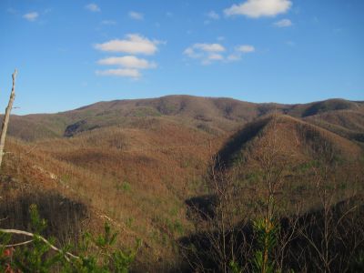 View From Longarm Ridge
The 2nd Big Pine Ridge Knob (aka, 'The Pyramid') and the "Meat-grinder Ridge' that overlooks Sill Branch in the distance.
November, 2010
