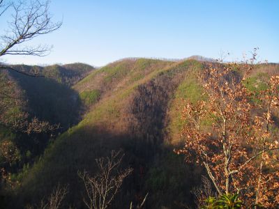 View From Longarm Ridge
'Flattop', the high point of Sampson Mountain...
November, 2010
