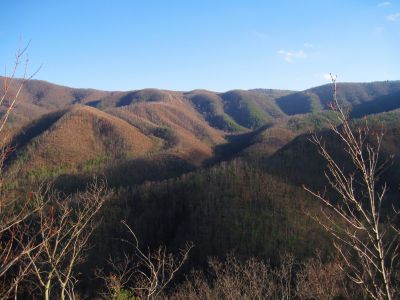 View From Longarm Ridge
The Big Pine Ridges and the Devil's Fork Valleys...
November, 2010
