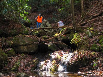 Longarm Branch 
Dave Aldridge and Rat climbing down the upper falls.
November, 2010
