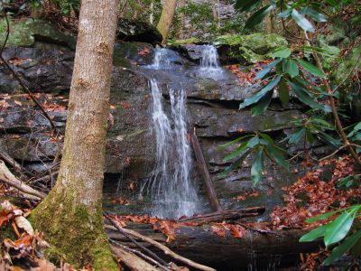 Lower Part of Wilderness Falls
November, 2010
