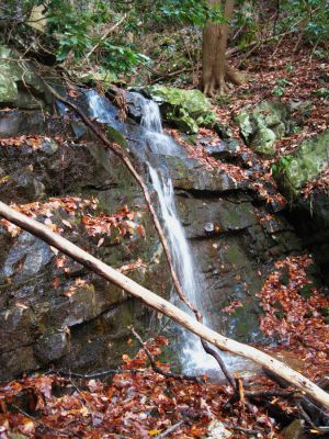 Lower Part of Wilderness Falls
November, 2010
