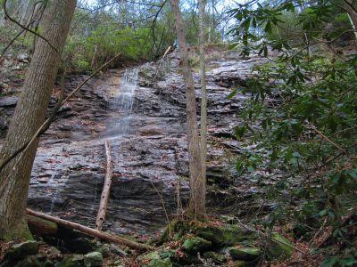 Wilderness Falls
November, 2010
