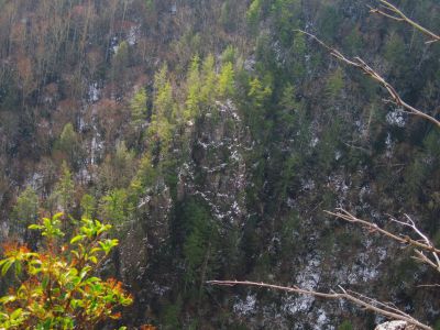 Whitehouse Mountain Cliffs
View from Cliff edge--Flint Mountain Cliffs across the valley.
Rocky Fork Area,
December, 2010
