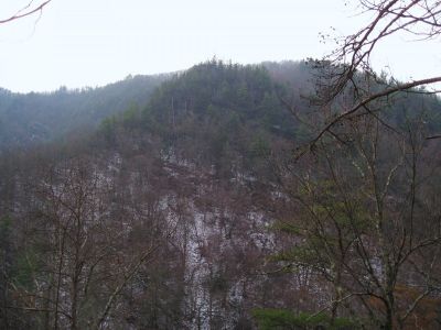 Knob On Black Mountain
Very steep...
near the Laurel Fork Falls.
12-18-2010
