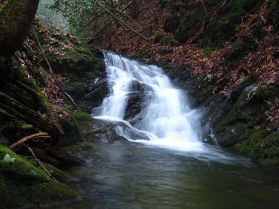 Cascades On Longarm Branch
1-5-2011
