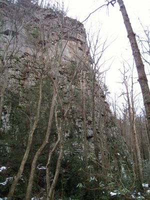 Cliffs
along the Margarette Falls Trail,
1-20-2011
