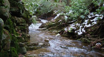 View Of Creek
above Margarette Falls,
1-20-2011
