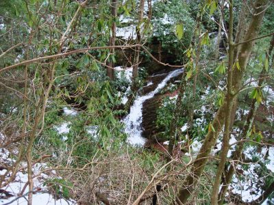 Cascades
above Margarette Falls (on a tributary),
1-20-2011
