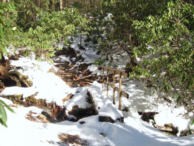 Footbridge
Over Oglesby Branch,
Near Spivey Gap,
1-29-2011
