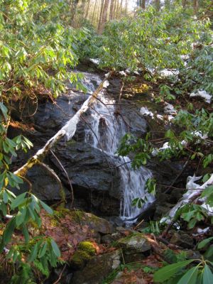 Upper Devil's Creek
1-29-2011
