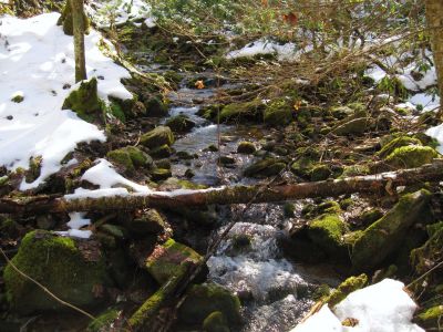 Upper Devil's Creek
1-29-2011
