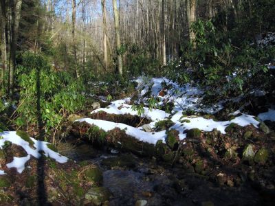 The Old Log Bridge
...what is left of it, anyway.
Upper Devil's Creek,
1-29-2011
