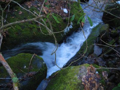 Cascades
Upper Devil's Creek,
1-29-2011
