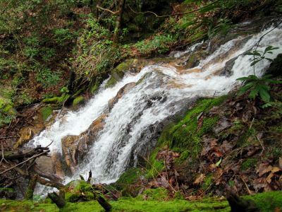South Fork Cascades
4-3-2012
