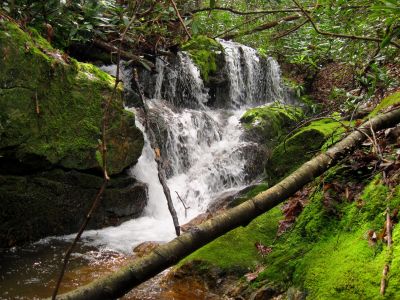 Cascades just below South Fork Falls
4-3-2012
