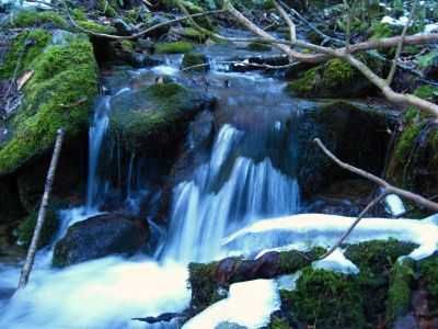 Cascades
Upper Devil's Creek,
1-29-2011
