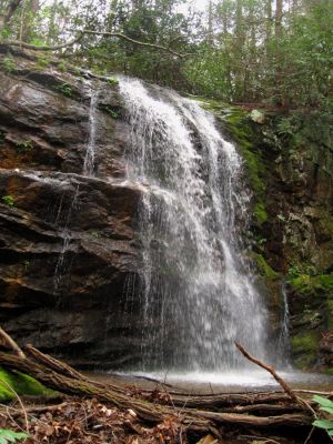 South Fork Falls
Sampson Wilderness
4-3-2012
