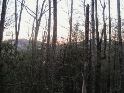 More Views...
High Rocks, Whistling Gap, and Little Bald Mountain, as seen from the Devil's Creek Gap area,
1-29-2011
