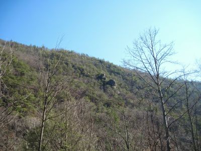 Rock Cliffs
along the Nolichucky River Gorge.
2-6-2011
