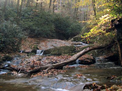 Cascades on Devil Fork Creek
Found below the lower Devil Fork Falls 
photo by RAT 
10-17-2010
