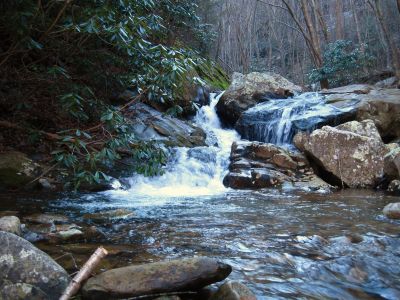 Cascades On Devils Creek
Lower Devils Creek,
2-6-2011
