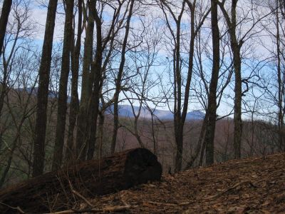 View From Trail
Near Rich Mountain Fire Tower,
2-19-11
