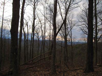 View From Spring Mountain
2-19-11
