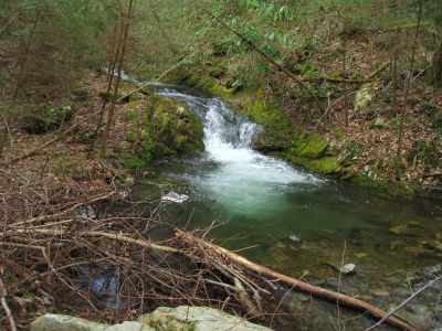 Buckeye Falls Trail
Deep pool of water along Clarks Creek in the Sampson Wilderness,
2-26-2011
