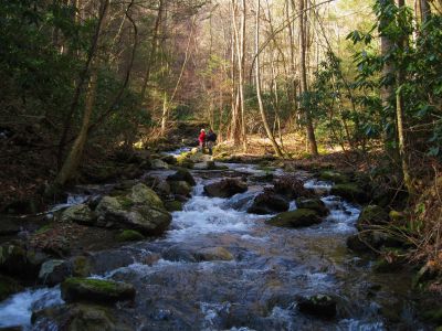 Buckeye Falls Trail
Fireball and Rat Patrol preparing to wade across Clarks Creek on the way to Buckeye Falls,
2-26-2011
