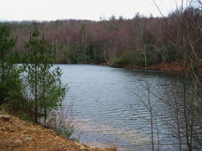 Pond On Higgins Ridge
3-5-2011
