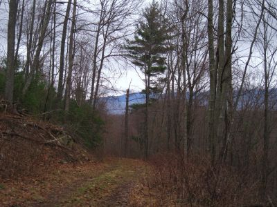 The Rocky Fork Trail
descending 'The High Road' on Rich Mountain.
3-5-2011
