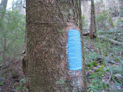 Sill Branch Trail
3-11-11
