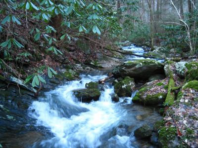 Cascades On Sill Branch
3-11-11
