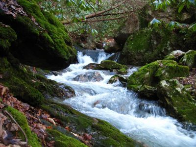 Cascades On Sill Branch
Beautiful cascades and mossy boulders in the 'grotto' section of Sill Branch,
3-11-2011
