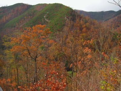View From Big Pine Ridge
View of Longarm Ridge.
Ascending Big Pine Ridge Knob.
October, 2011
