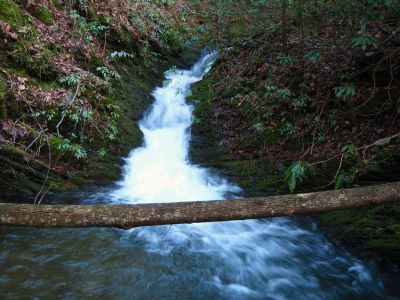 Cascading Rock Chute
Long cascades on Sill Branch, 
3-11-2011
